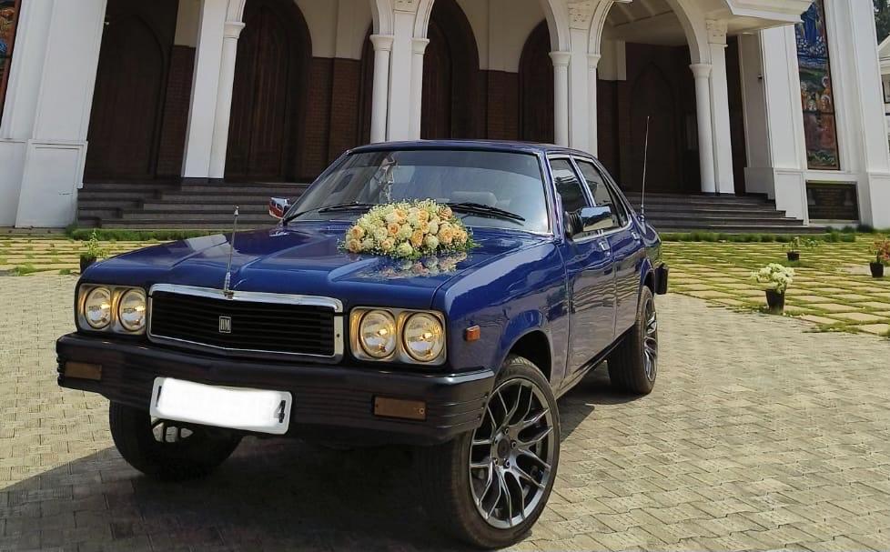 Hindustan Contessa
