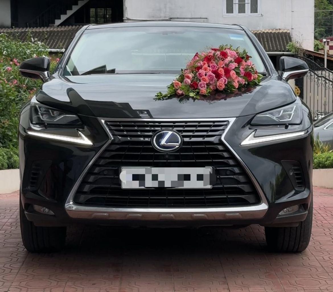 Lexus NX 300h