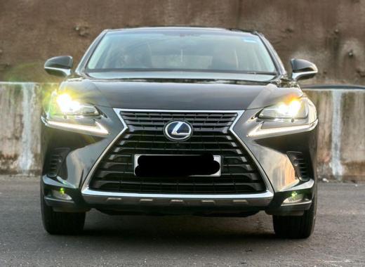 Lexus NX 300h