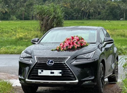 Lexus NX 300h