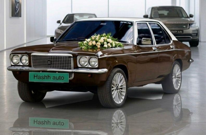 Hindustan Contessa Brown