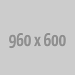 Luxury Car Interiors: A Closer Look